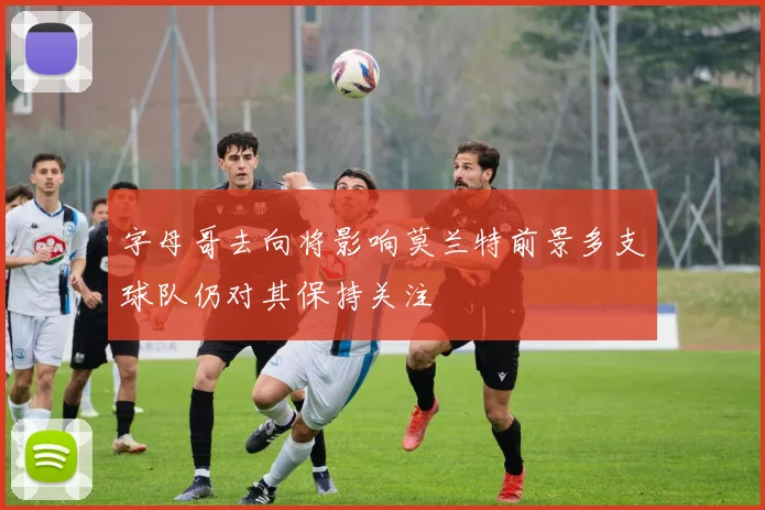 字母哥去向将影响莫兰特前景多支球队仍对其保持关注